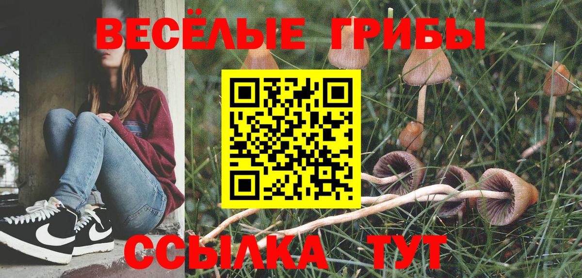 Псилоцибиновые грибы мицелий Набережные Челны